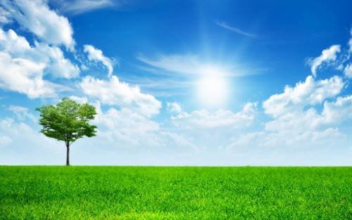 4238670-nature-background