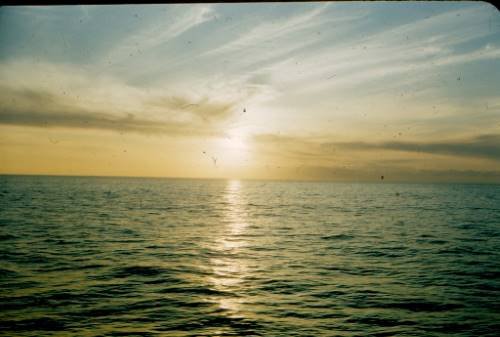 8004383216_467fa76379_b