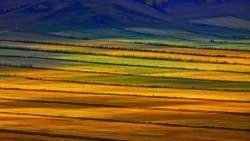 Hulunbuir-grasslands-Inner-Mongolia-China-20170806