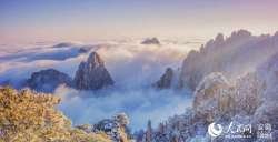 黄山冬景 王永新摄