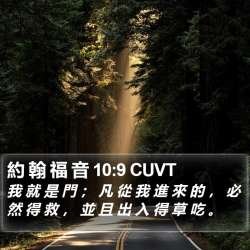 約-翰-福-音-10-9-CUVT-我-就-是-門--凡-從-我-進-來-的--I43010009-L01